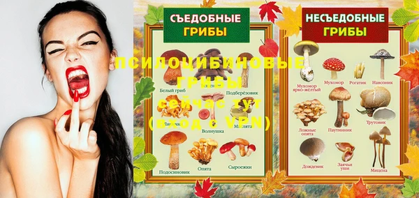 мяу мяу мука Богородицк