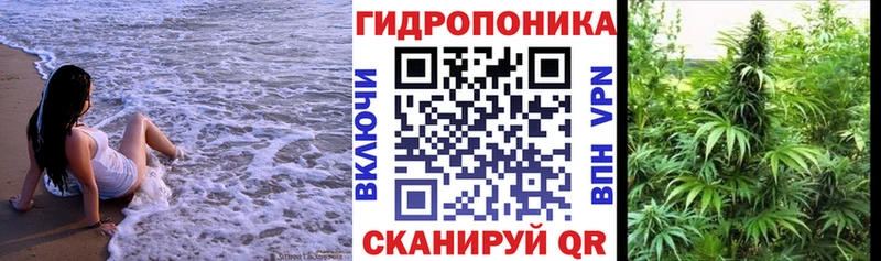 Бошки Шишки White Widow  цены   Красноармейск 